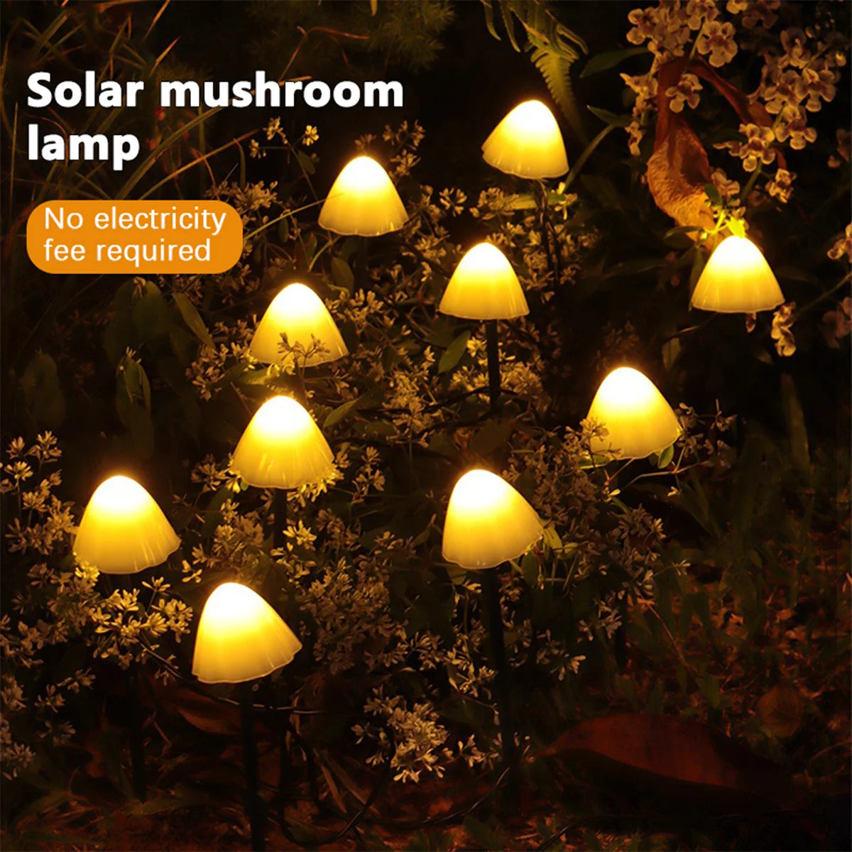 Glow Mushrooms