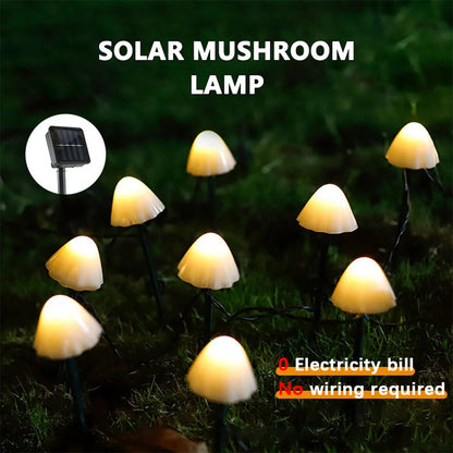 Glow Mushrooms